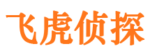 平远市私家侦探